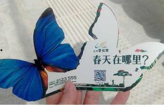 春风拂我心,心潮澎湃——感悟生命的律动