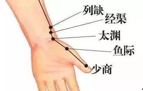 指尖上的中医,揭秘传统医学的神奇疗愈之道