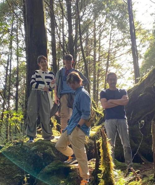 极岛森林 第二季,神秘传承与命运交织