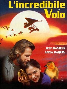 伴你高飞1998,1998年青春梦想的翅膀