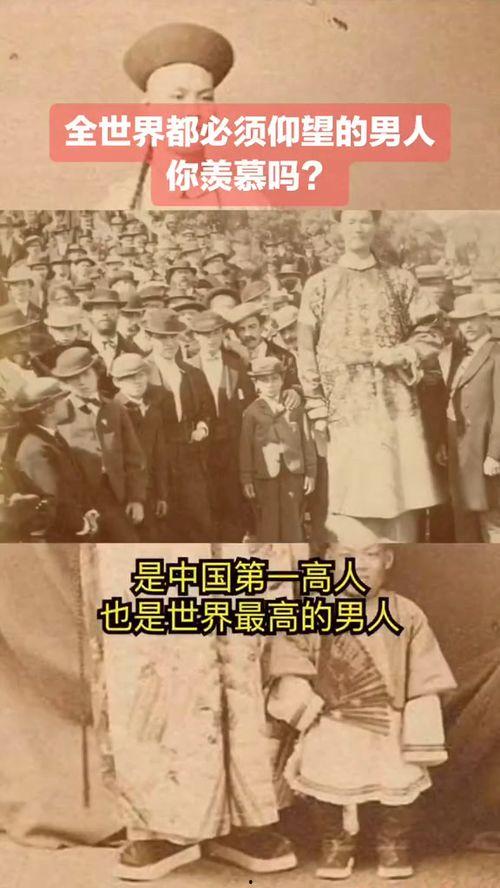 最高纪录,最高纪录背后的辉煌历程