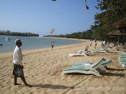 亿万富鲑岛,财富传奇与生态奇迹